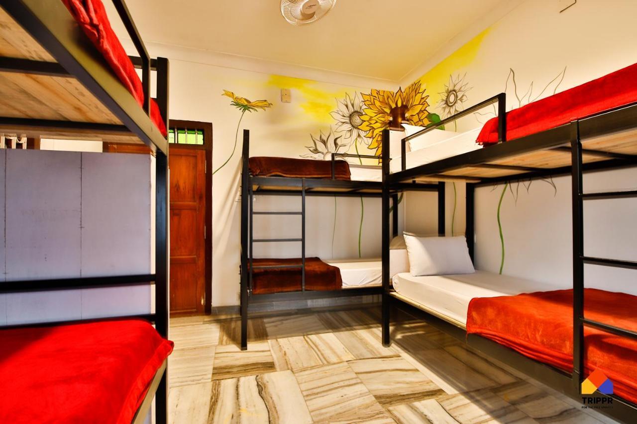 Trippr Alleppey - Backpacker Hostel Alappuzha Eksteriør billede